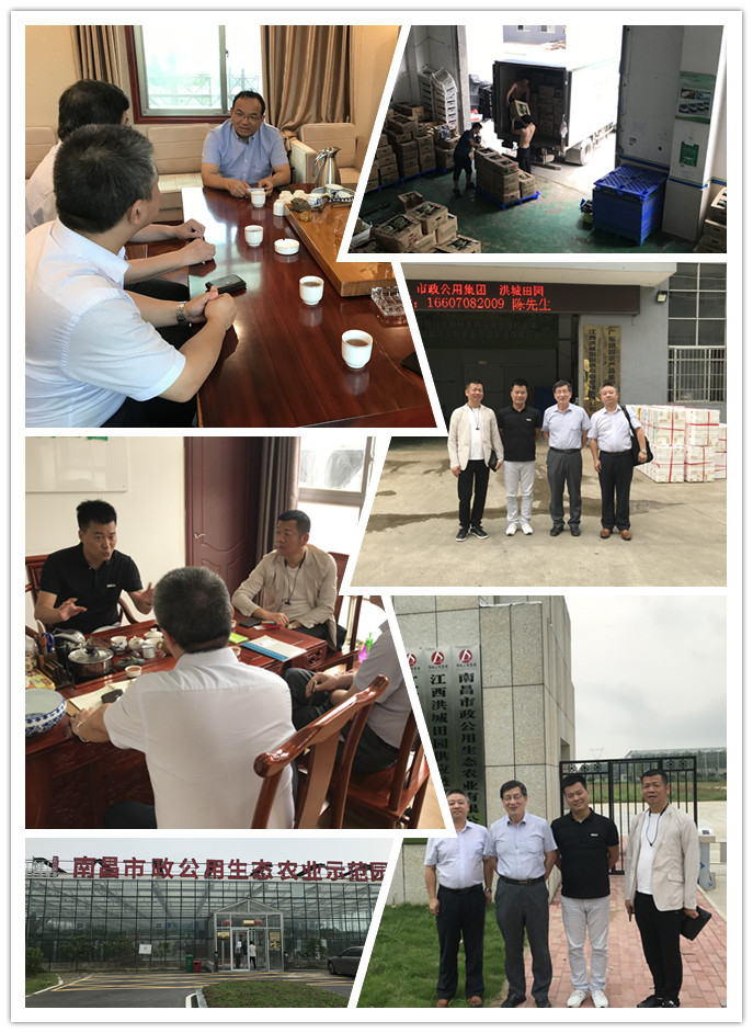 F88星宝(中国集团)官方网站