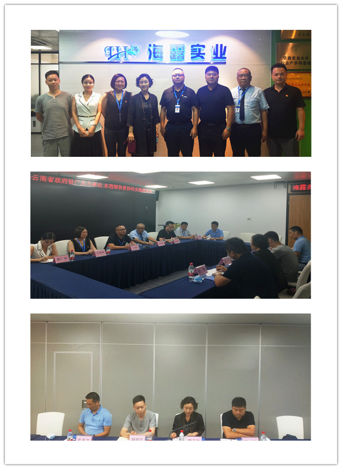 F88星宝(中国集团)官方网站