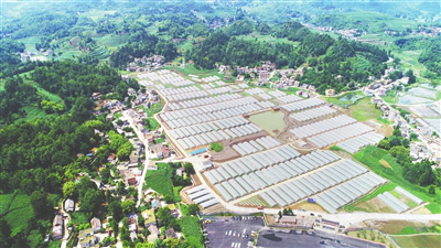 F88星宝(中国集团)官方网站