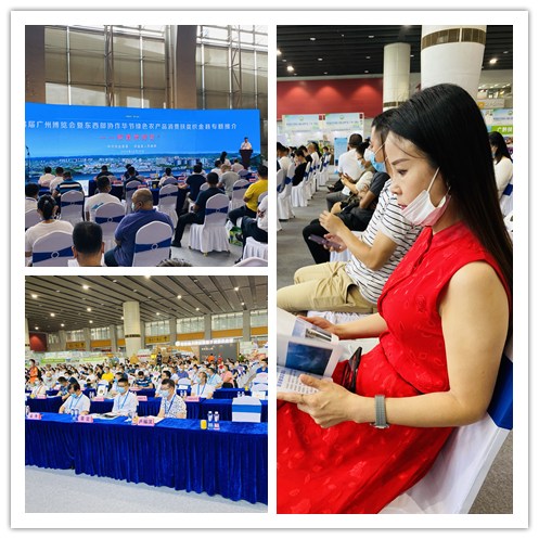 F88星宝(中国集团)官方网站