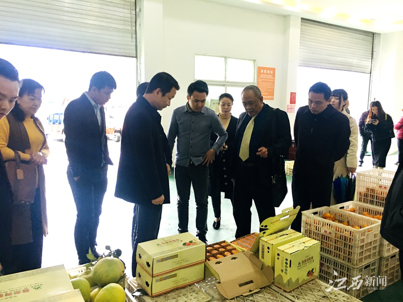 F88星宝(中国集团)官方网站