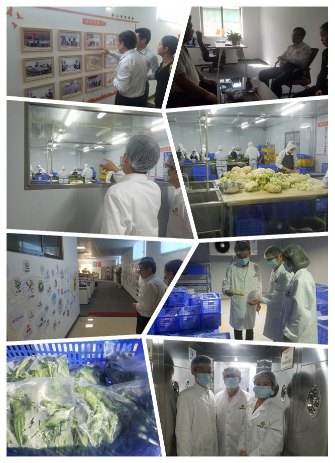 F88星宝(中国集团)官方网站