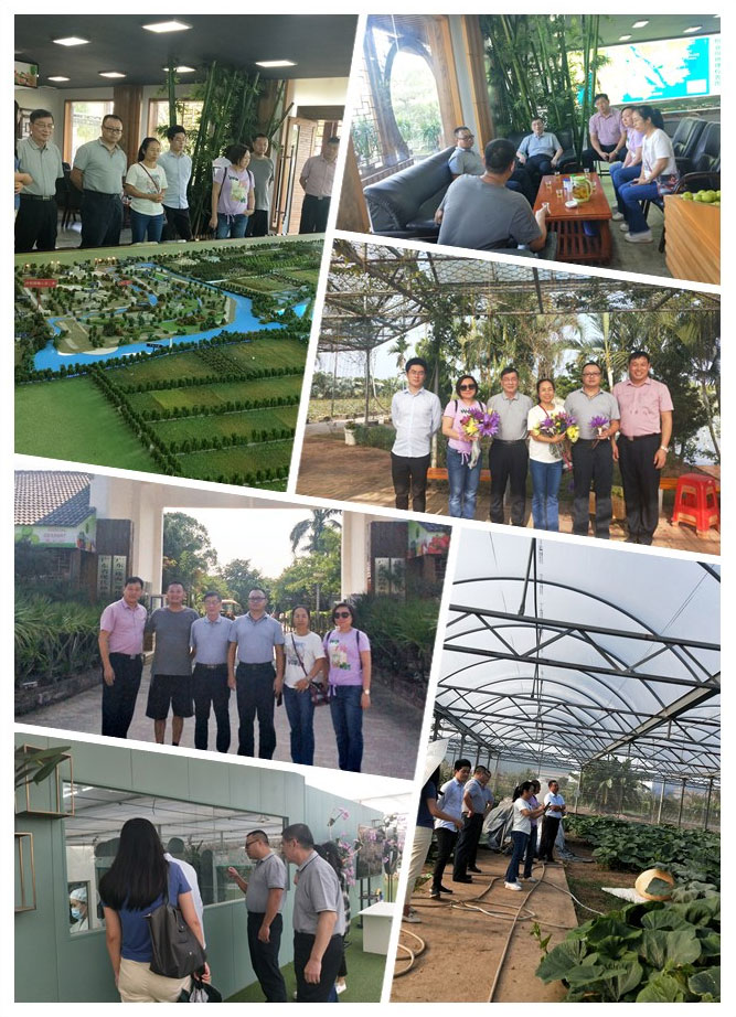 F88星宝(中国集团)官方网站