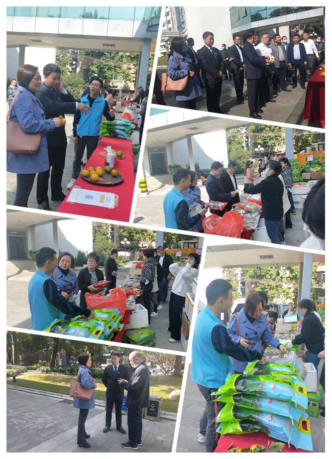 F88星宝(中国集团)官方网站