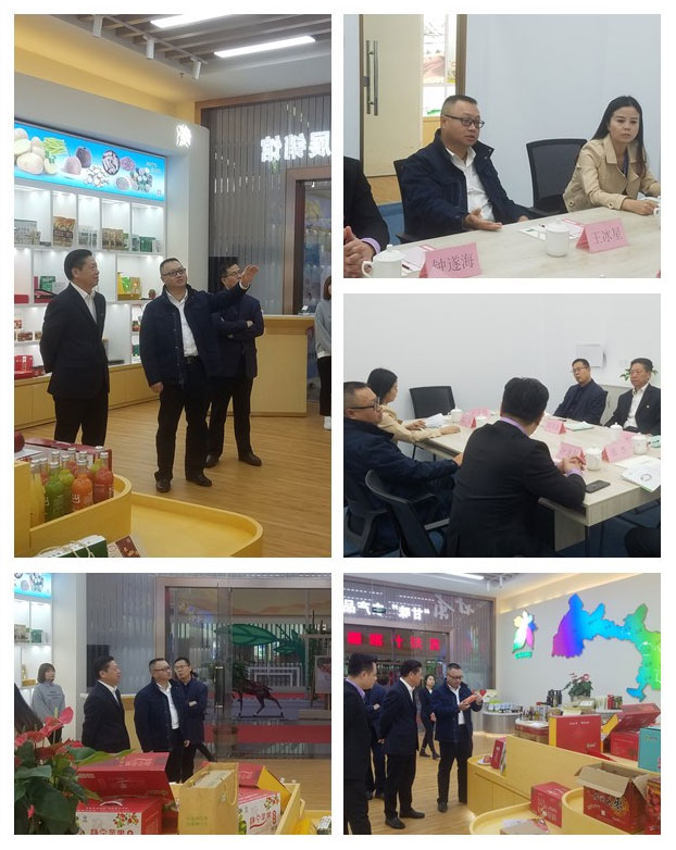 F88星宝(中国集团)官方网站