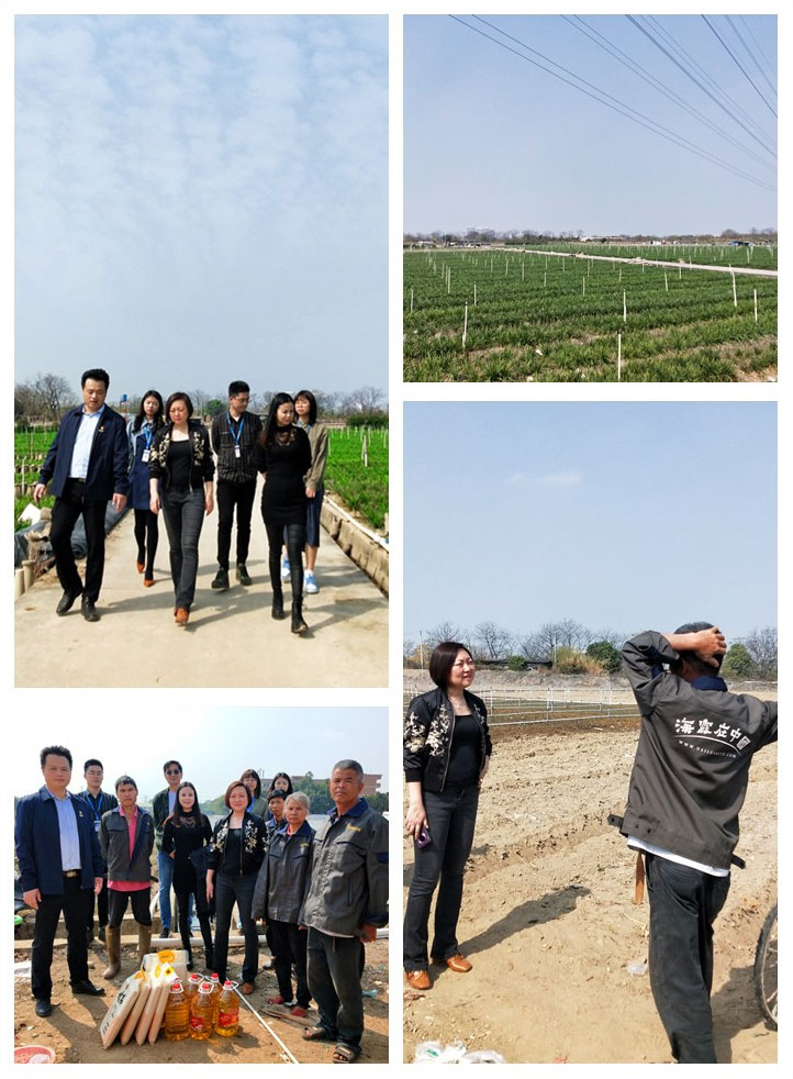 F88星宝(中国集团)官方网站