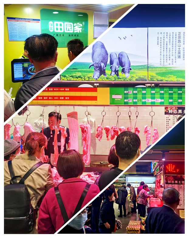 F88星宝(中国集团)官方网站