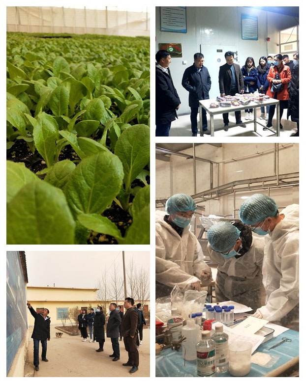 F88星宝(中国集团)官方网站