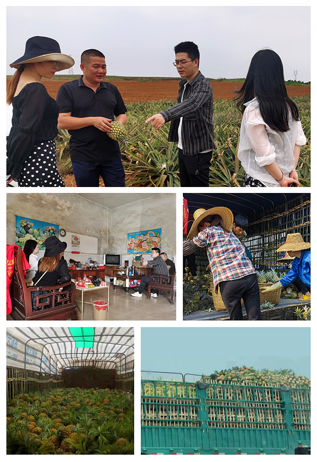 F88星宝(中国集团)官方网站