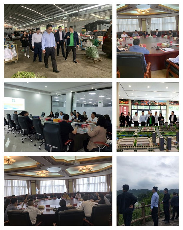 F88星宝(中国集团)官方网站