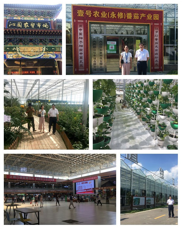 F88星宝(中国集团)官方网站