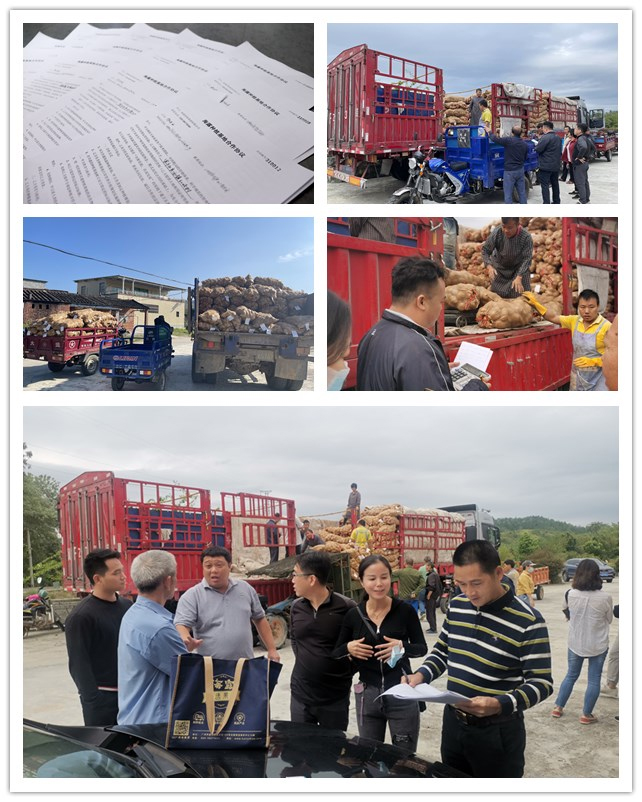 F88星宝(中国集团)官方网站