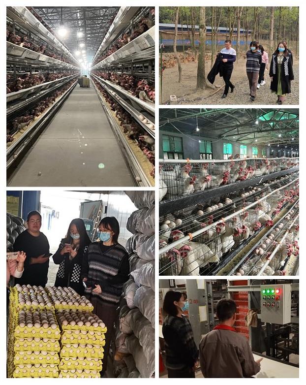 F88星宝(中国集团)官方网站