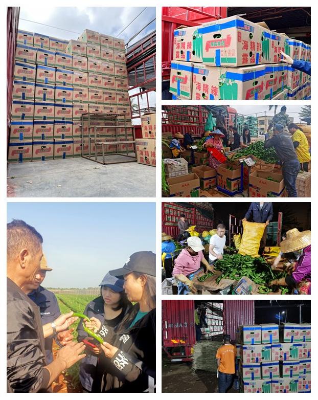 F88星宝(中国集团)官方网站