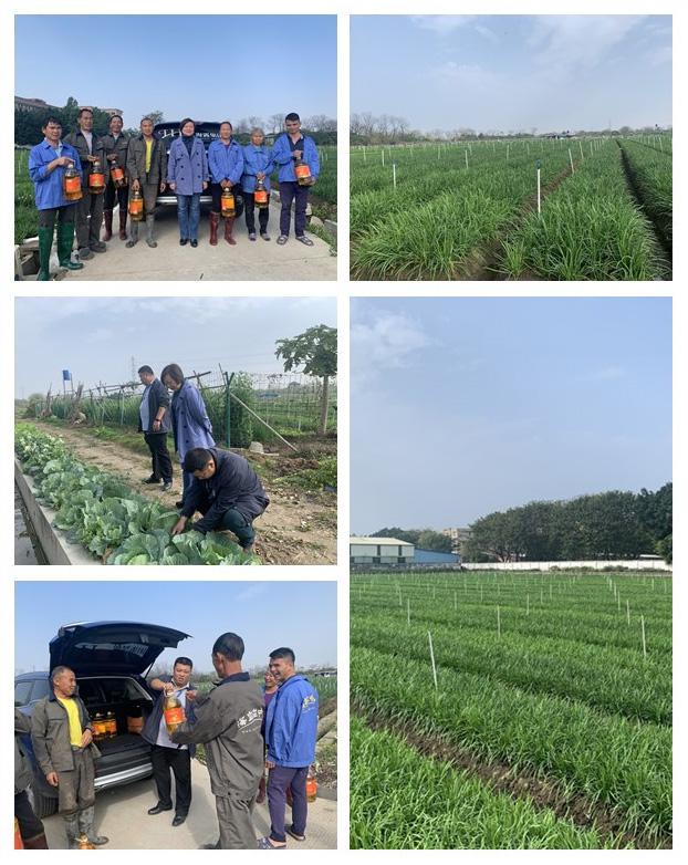 F88星宝(中国集团)官方网站