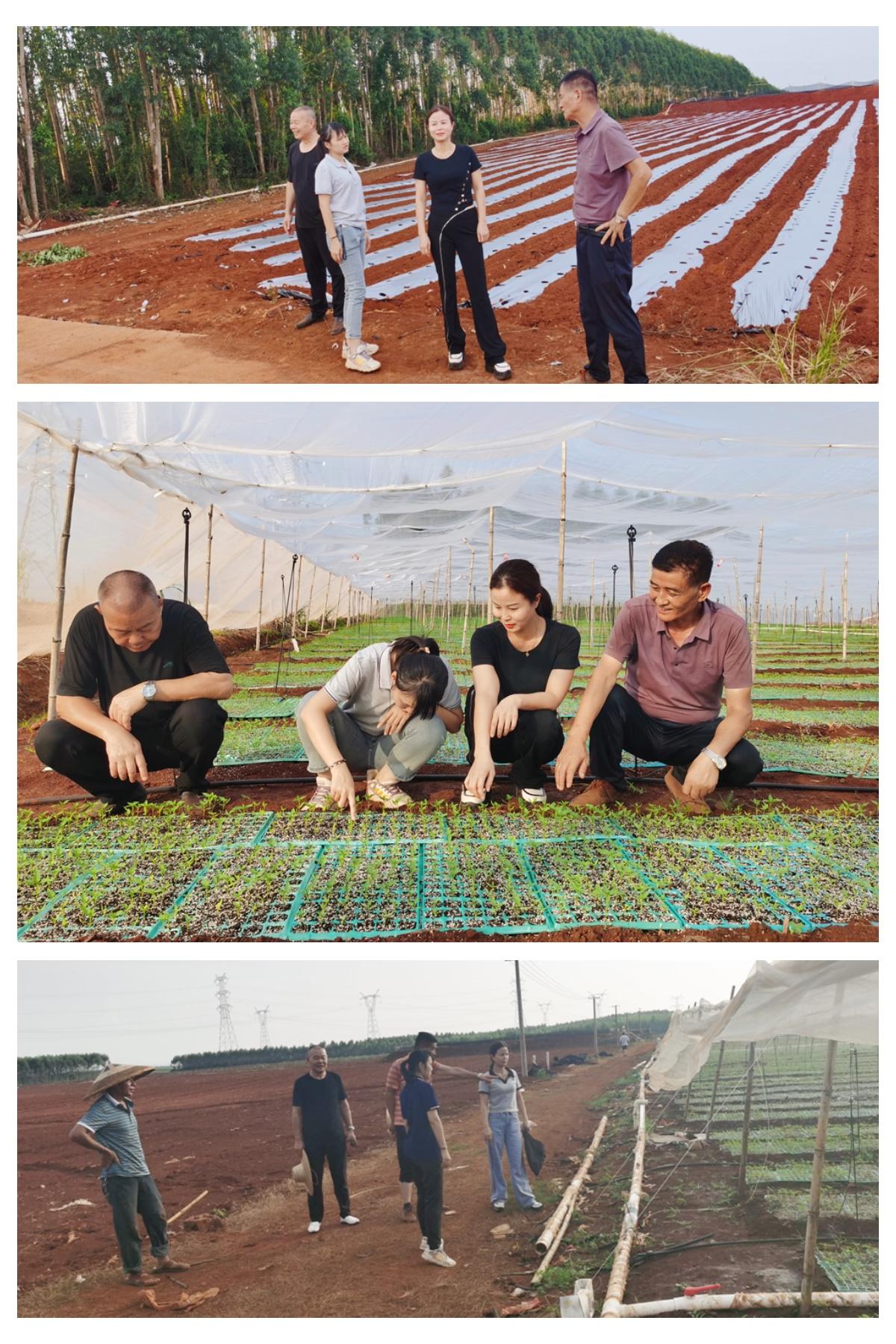 F88星宝(中国集团)官方网站