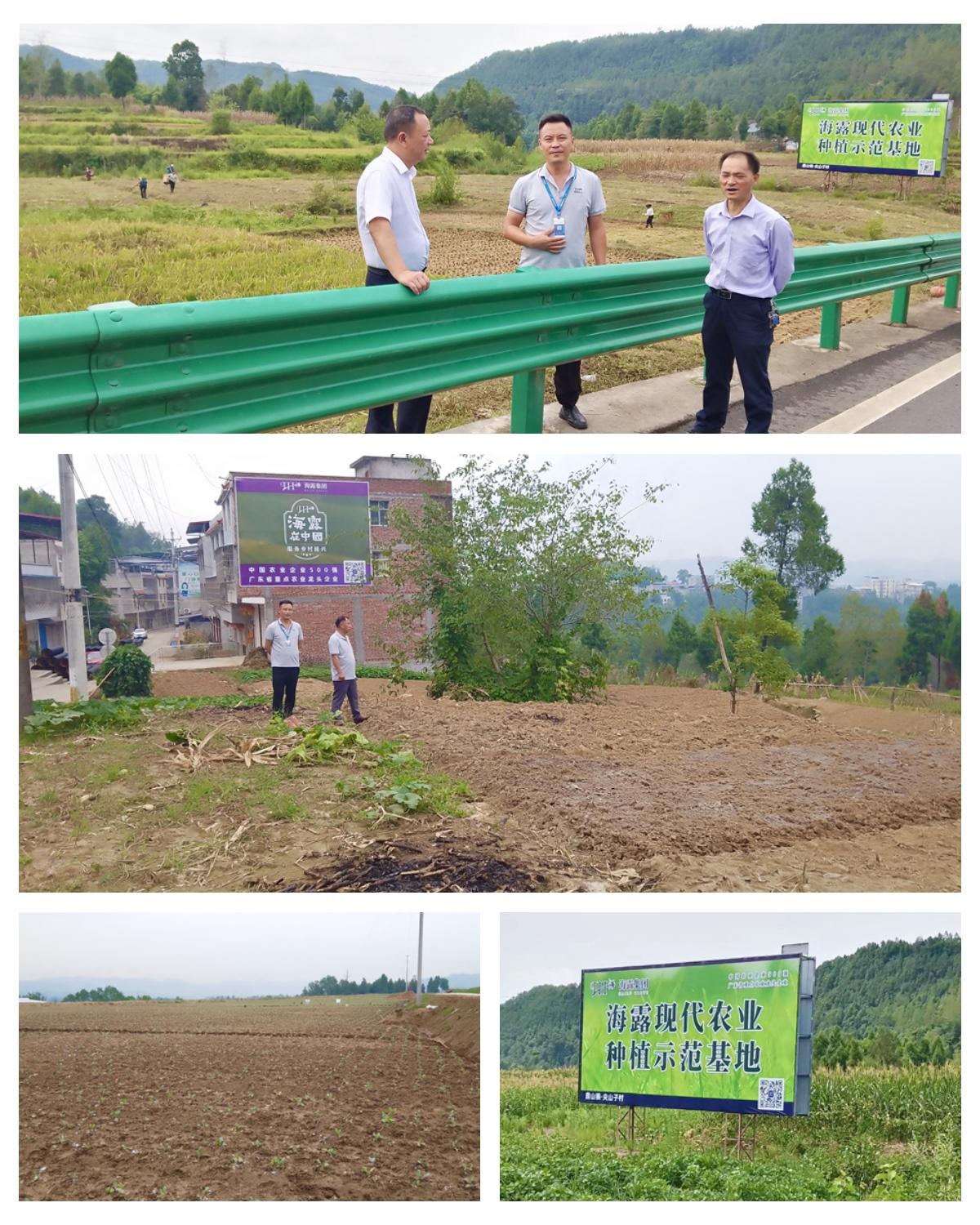 F88星宝(中国集团)官方网站