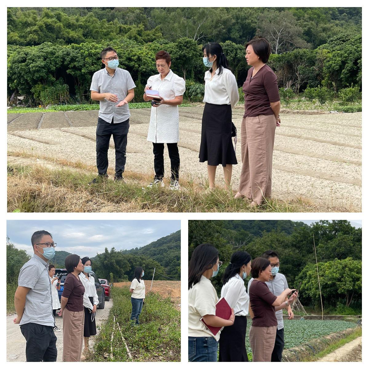 F88星宝(中国集团)官方网站