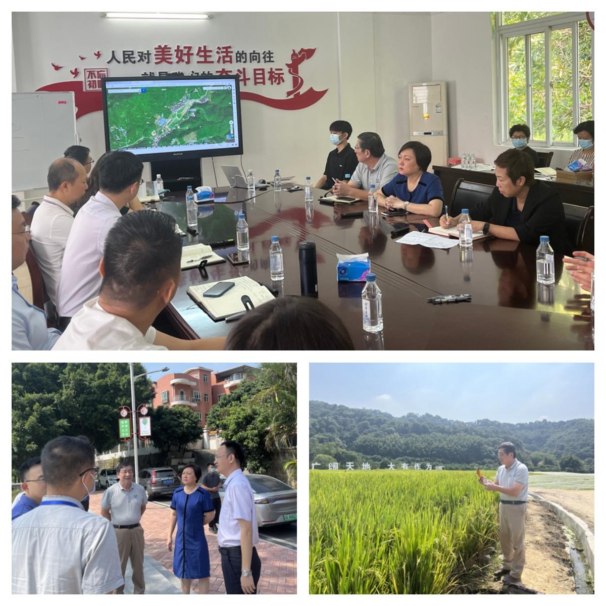 F88星宝(中国集团)官方网站