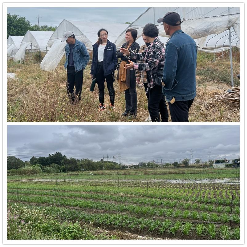 F88星宝(中国集团)官方网站