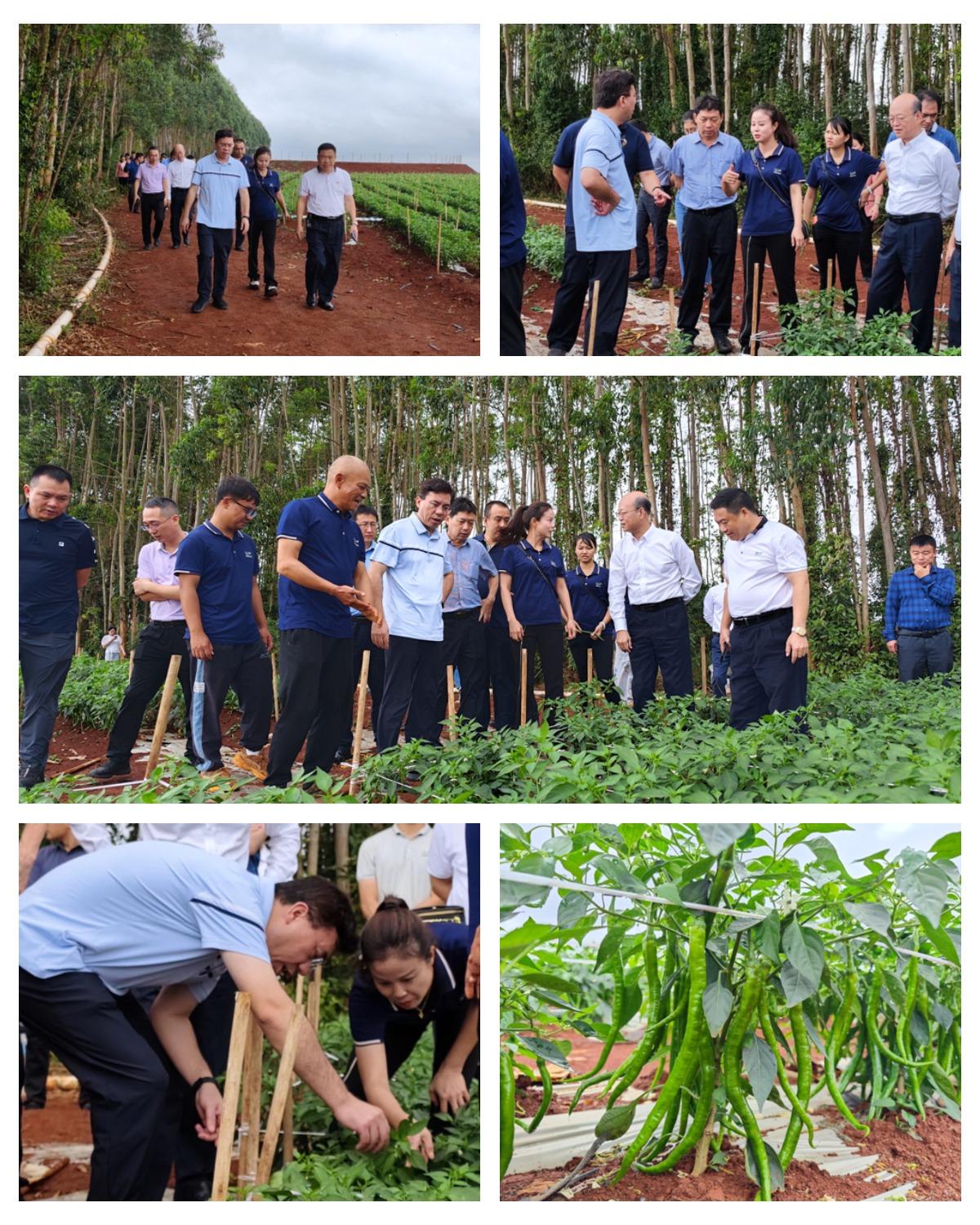 F88星宝(中国集团)官方网站