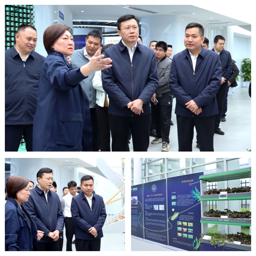 F88星宝(中国集团)官方网站