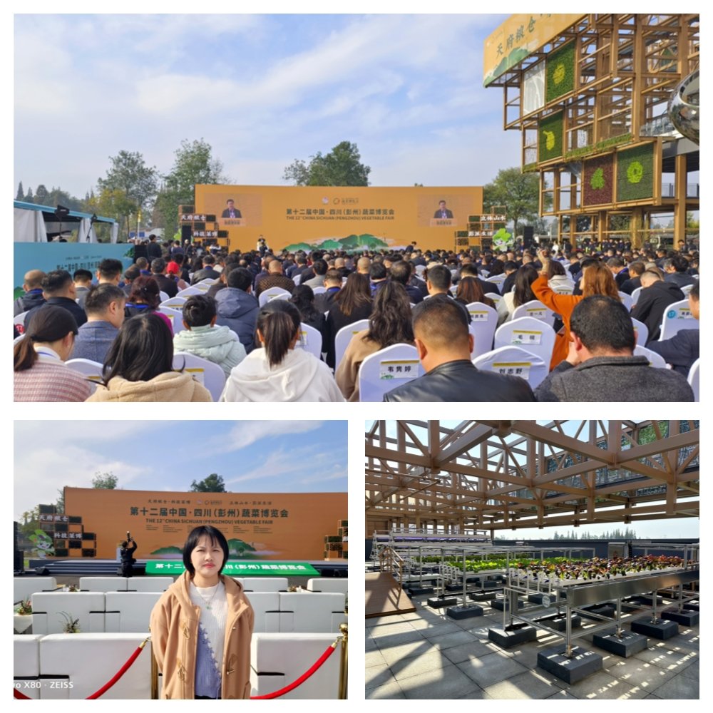 F88星宝(中国集团)官方网站