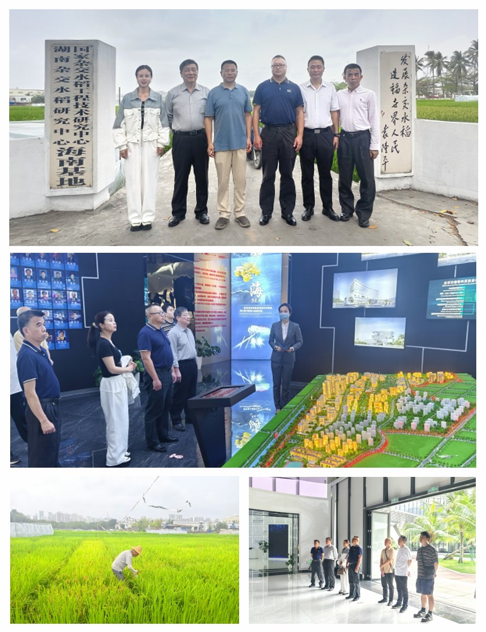 F88星宝(中国集团)官方网站