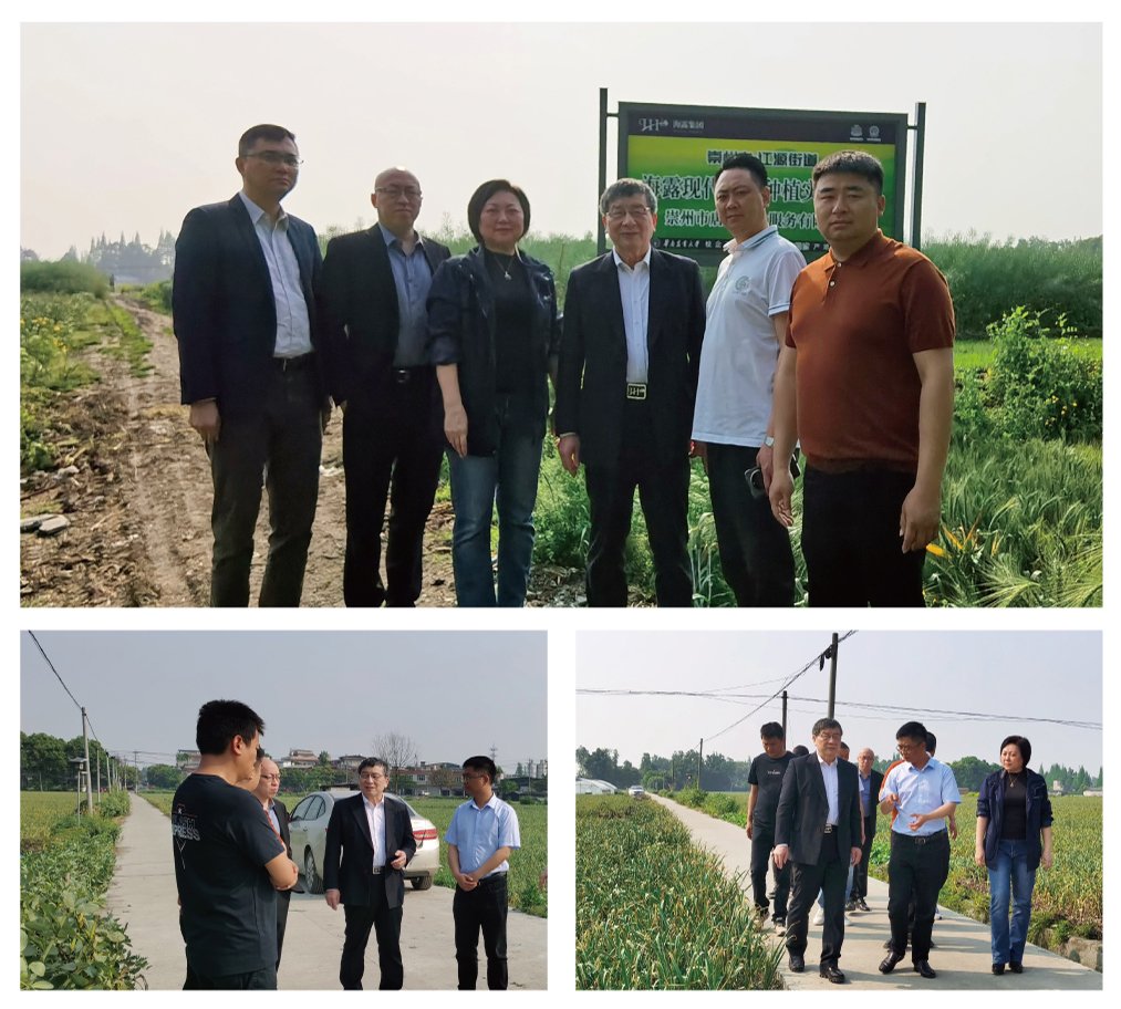 F88星宝(中国集团)官方网站