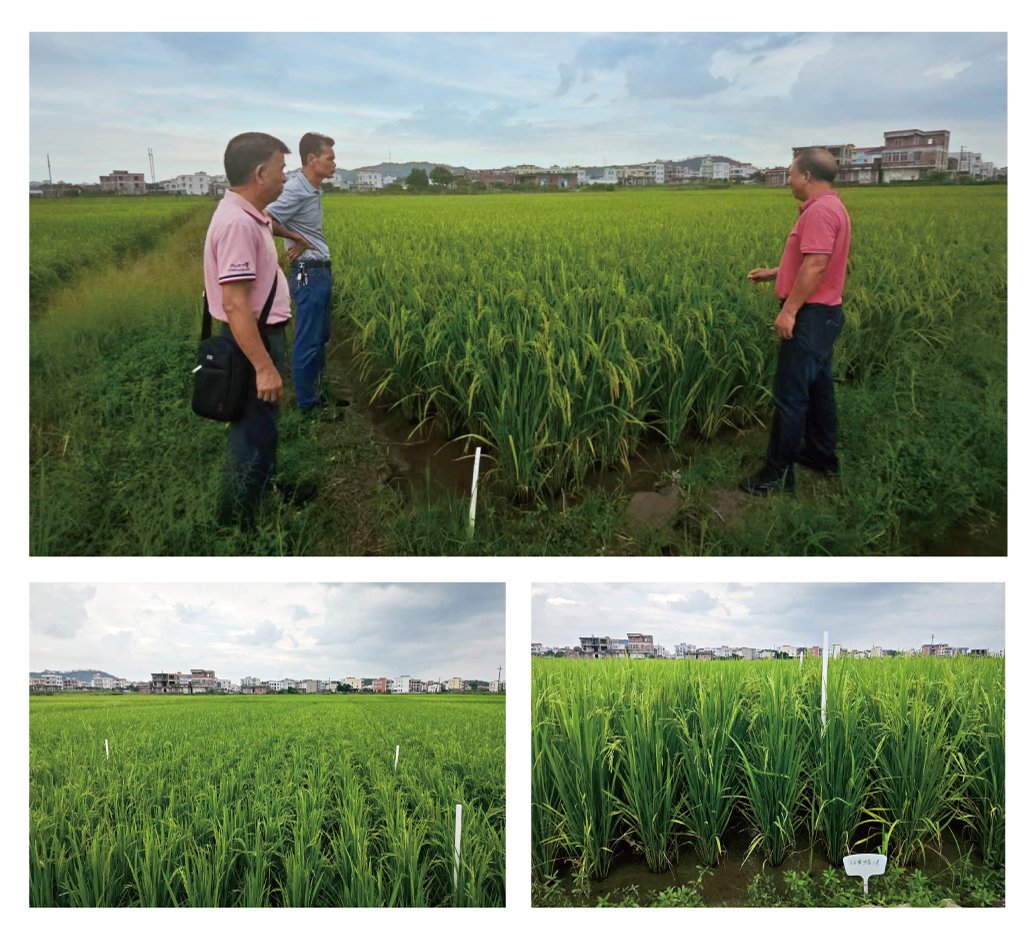 F88星宝(中国集团)官方网站