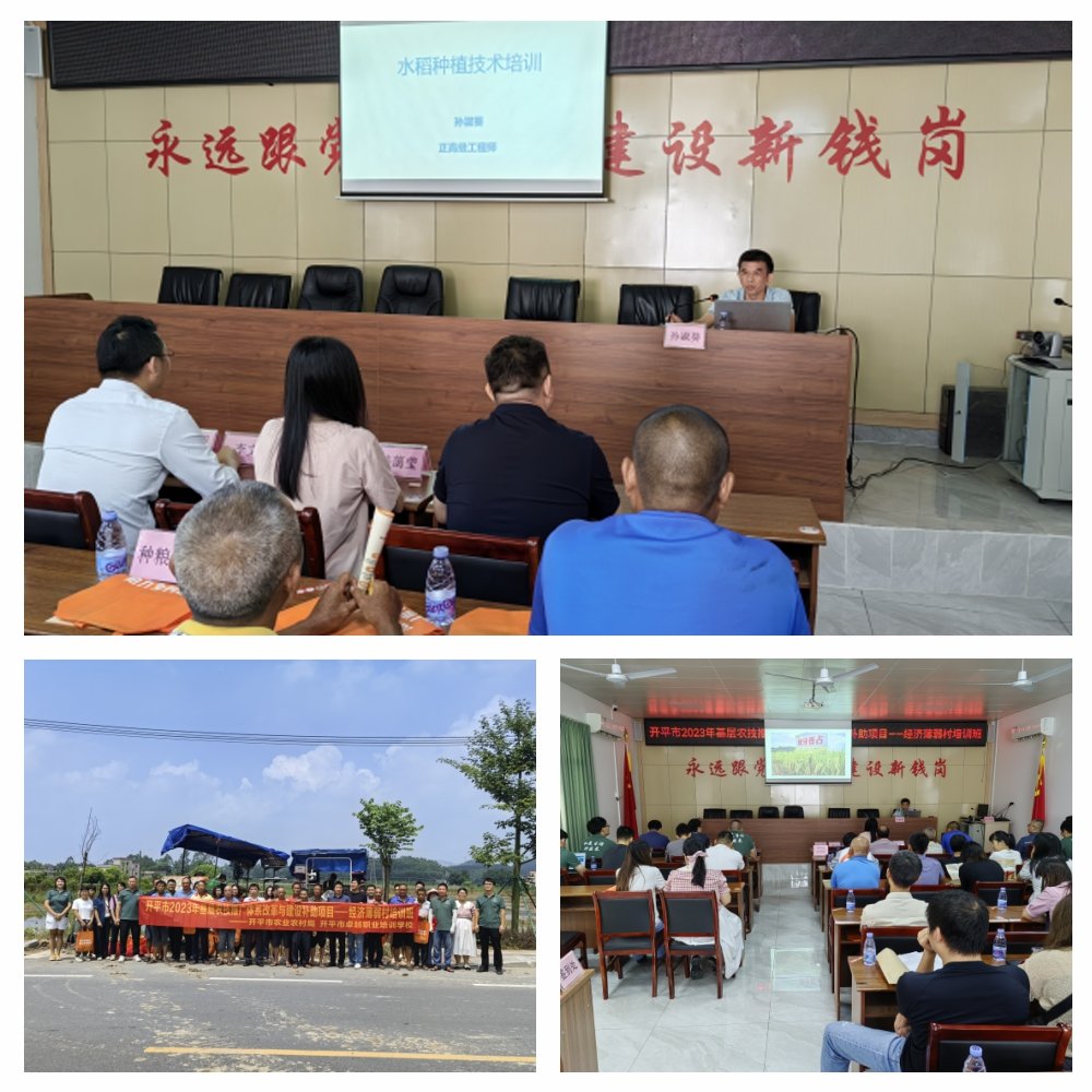 F88星宝(中国集团)官方网站