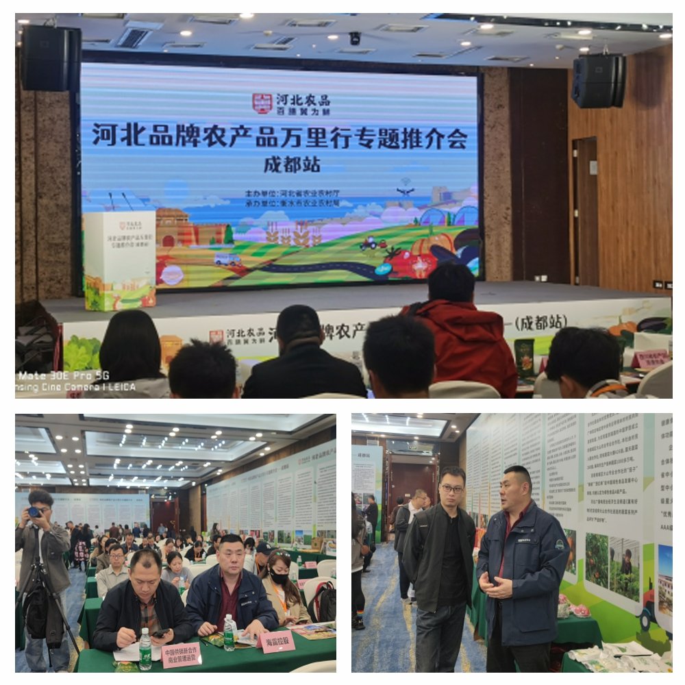 F88星宝(中国集团)官方网站