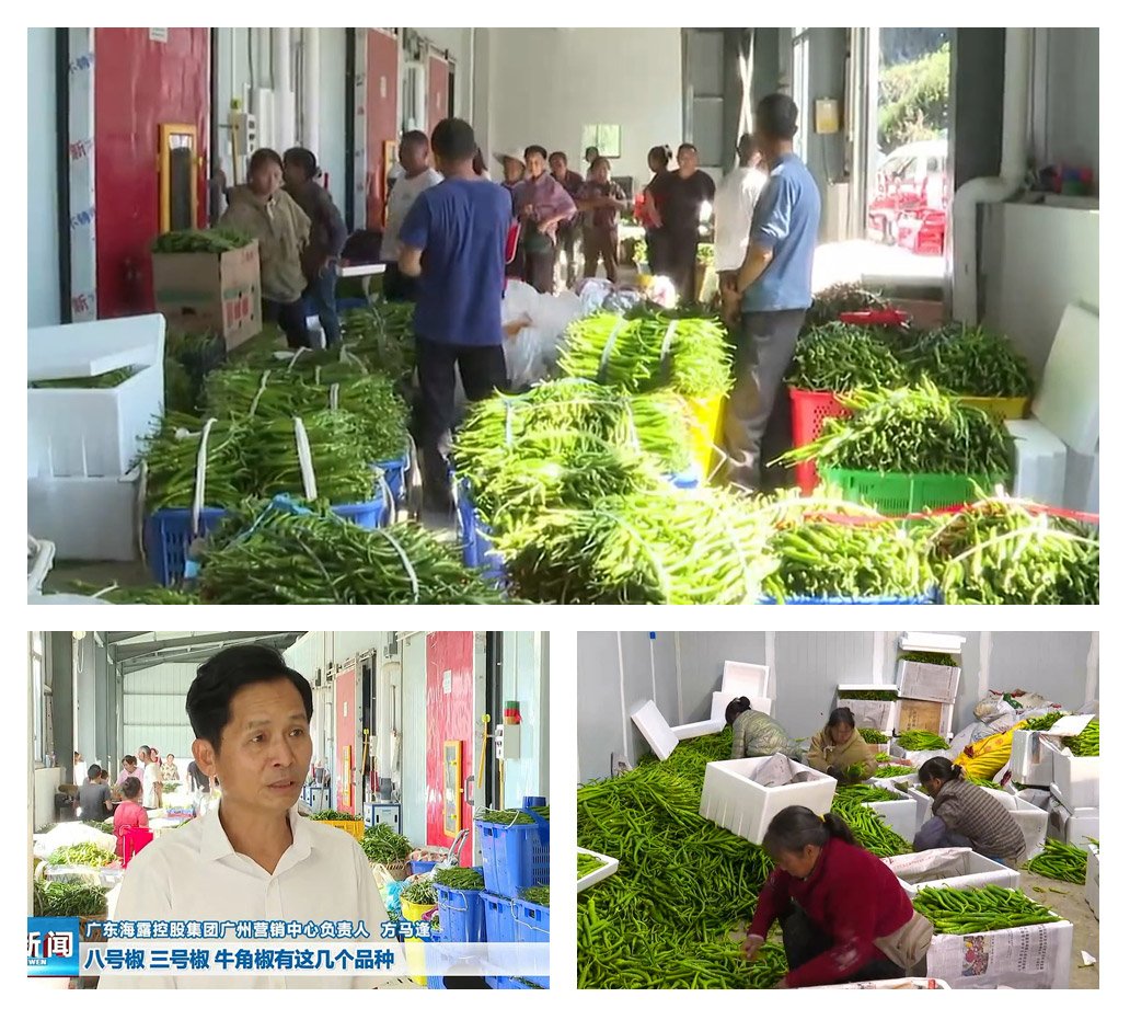 F88星宝(中国集团)官方网站