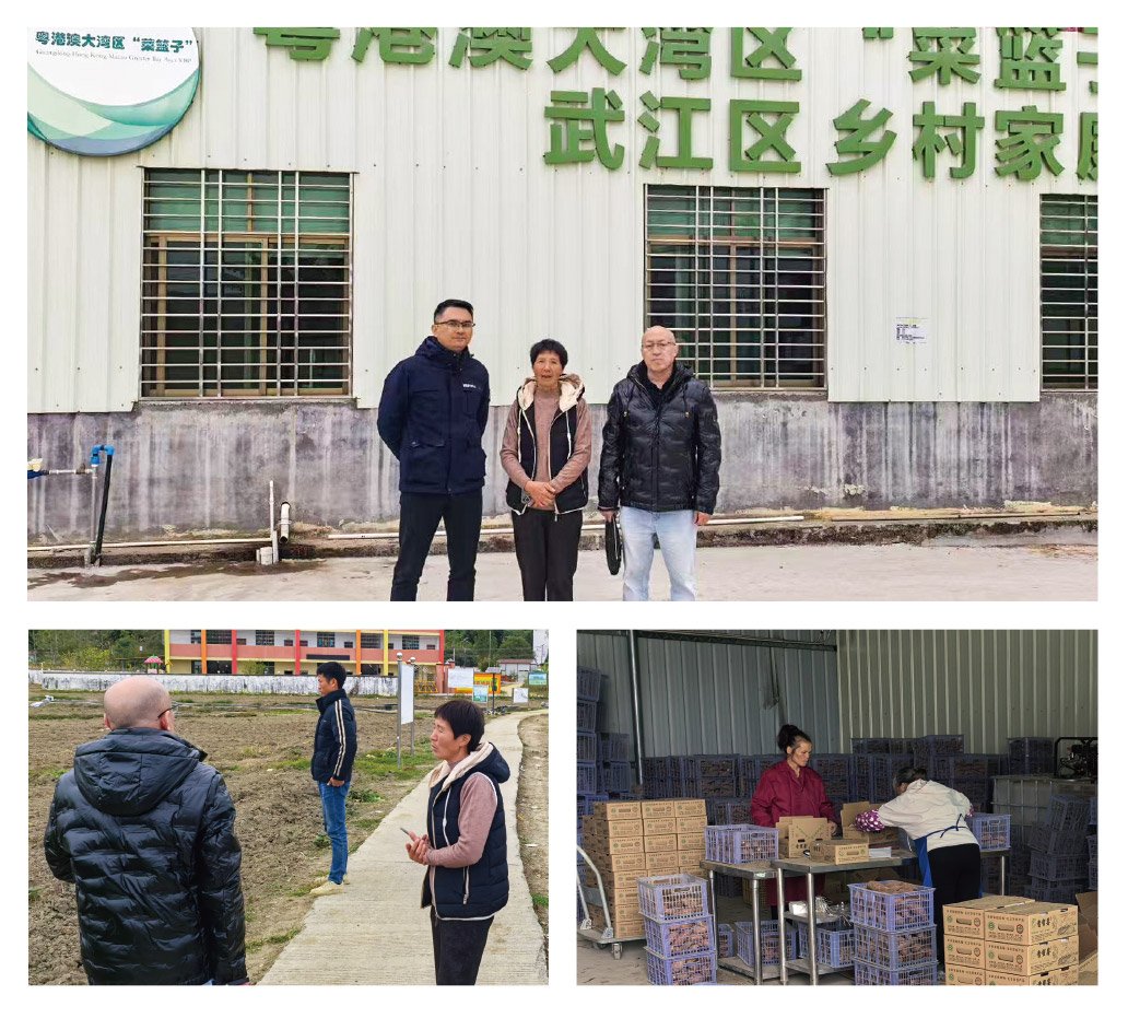 F88星宝(中国集团)官方网站