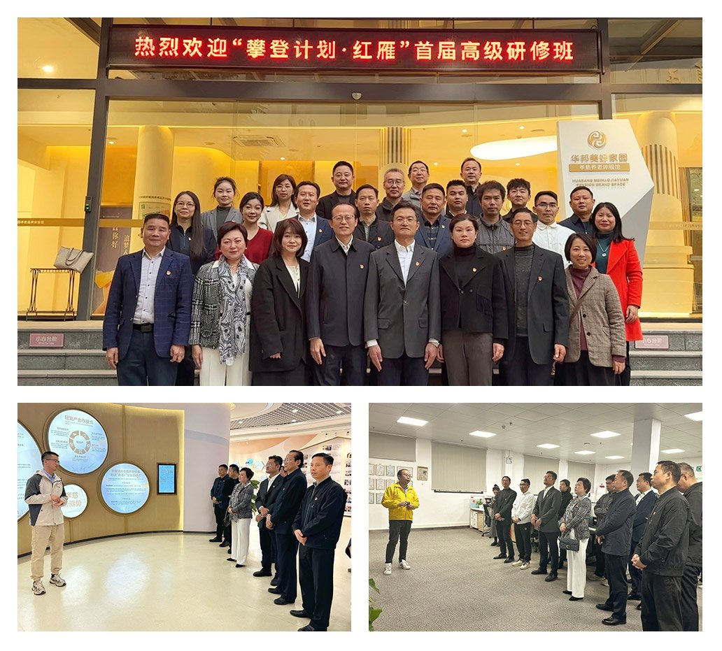 F88星宝(中国集团)官方网站