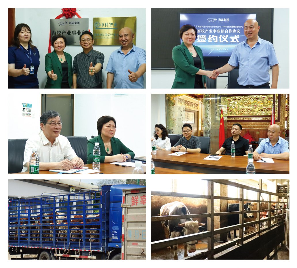 F88星宝(中国集团)官方网站