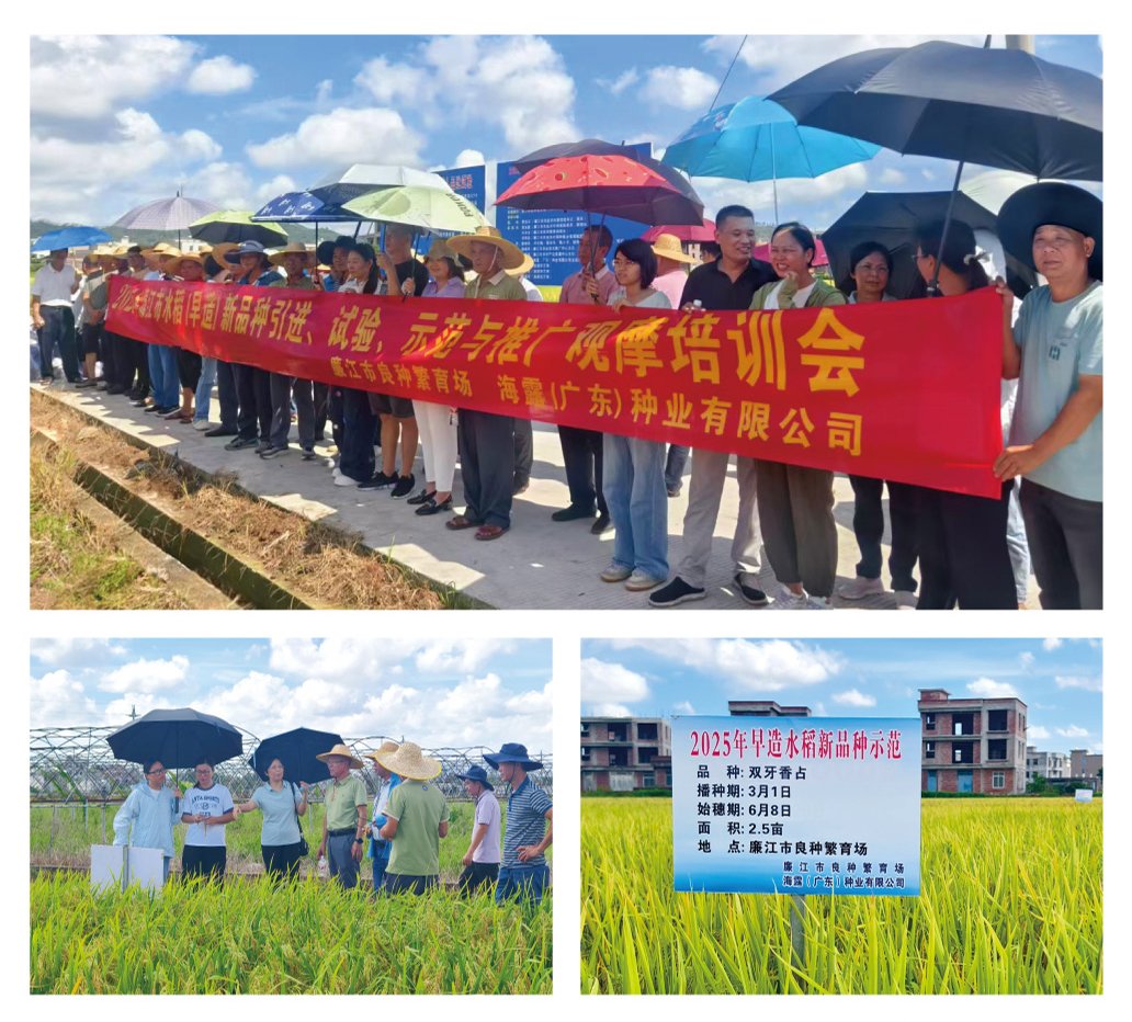 F88星宝(中国集团)官方网站