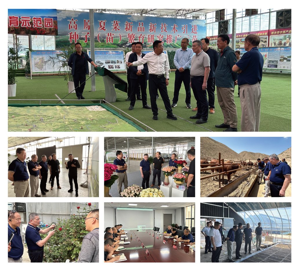 F88星宝(中国集团)官方网站