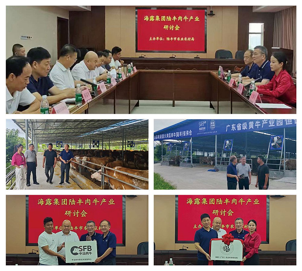 F88星宝(中国集团)官方网站