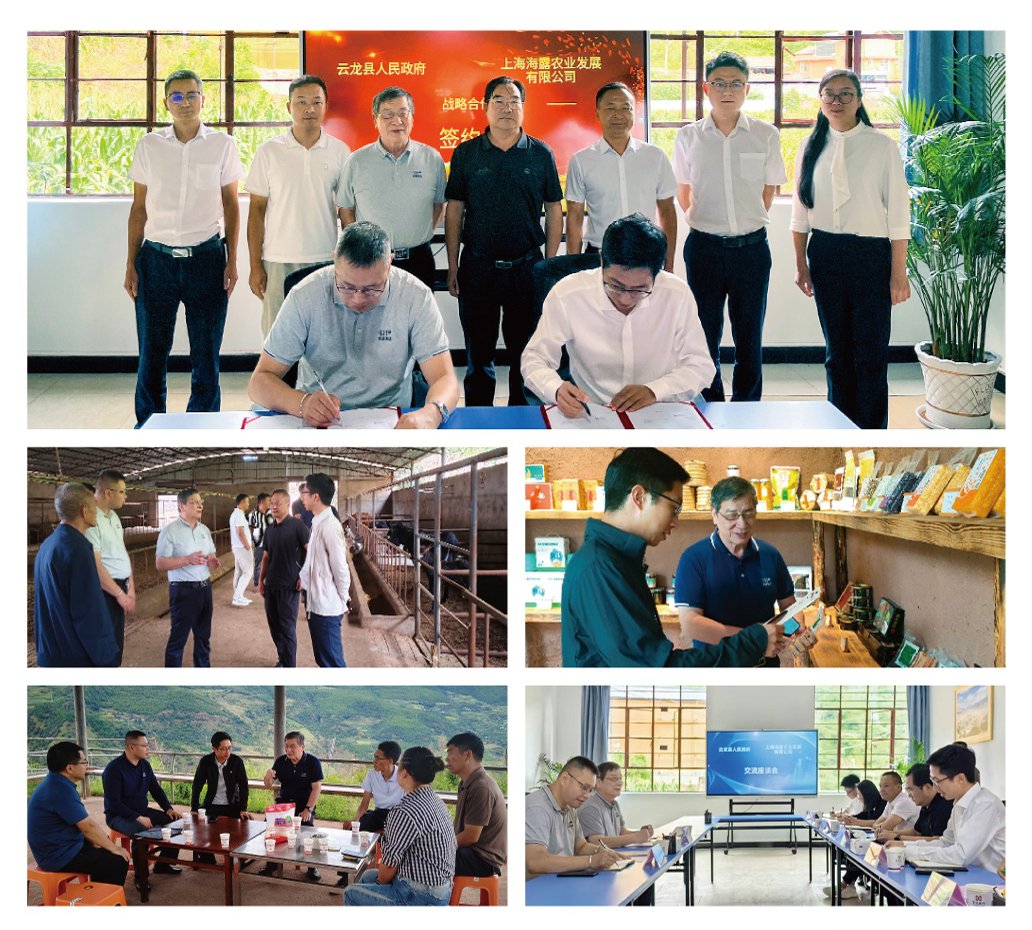 F88星宝(中国集团)官方网站