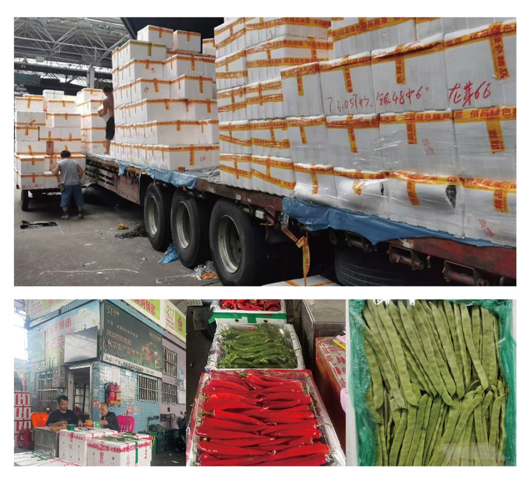 F88星宝(中国集团)官方网站