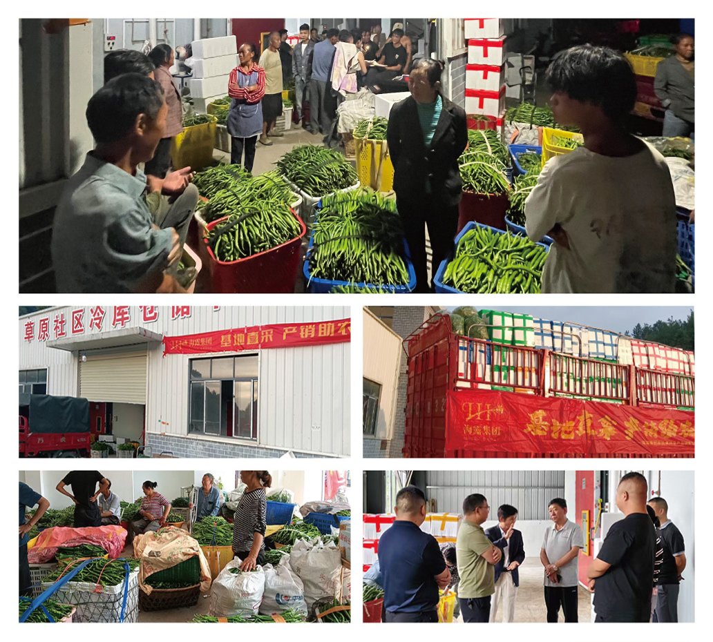 F88星宝(中国集团)官方网站