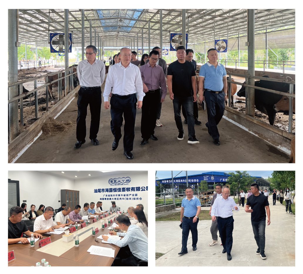 F88星宝(中国集团)官方网站