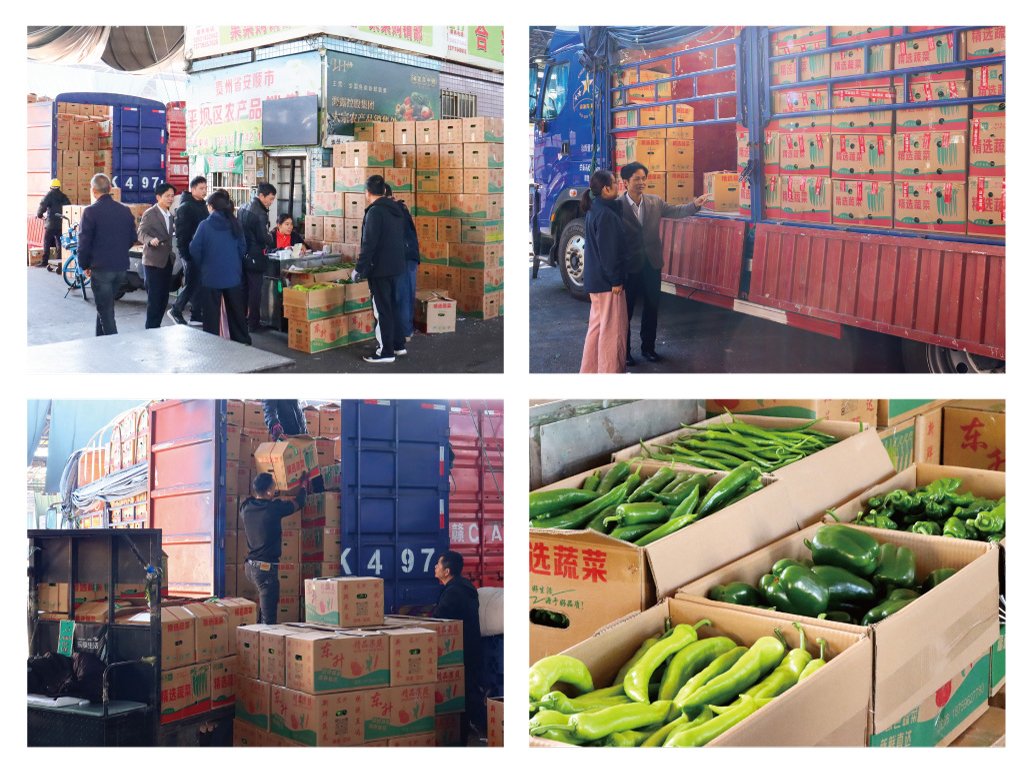 F88星宝(中国集团)官方网站